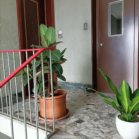 Diva *